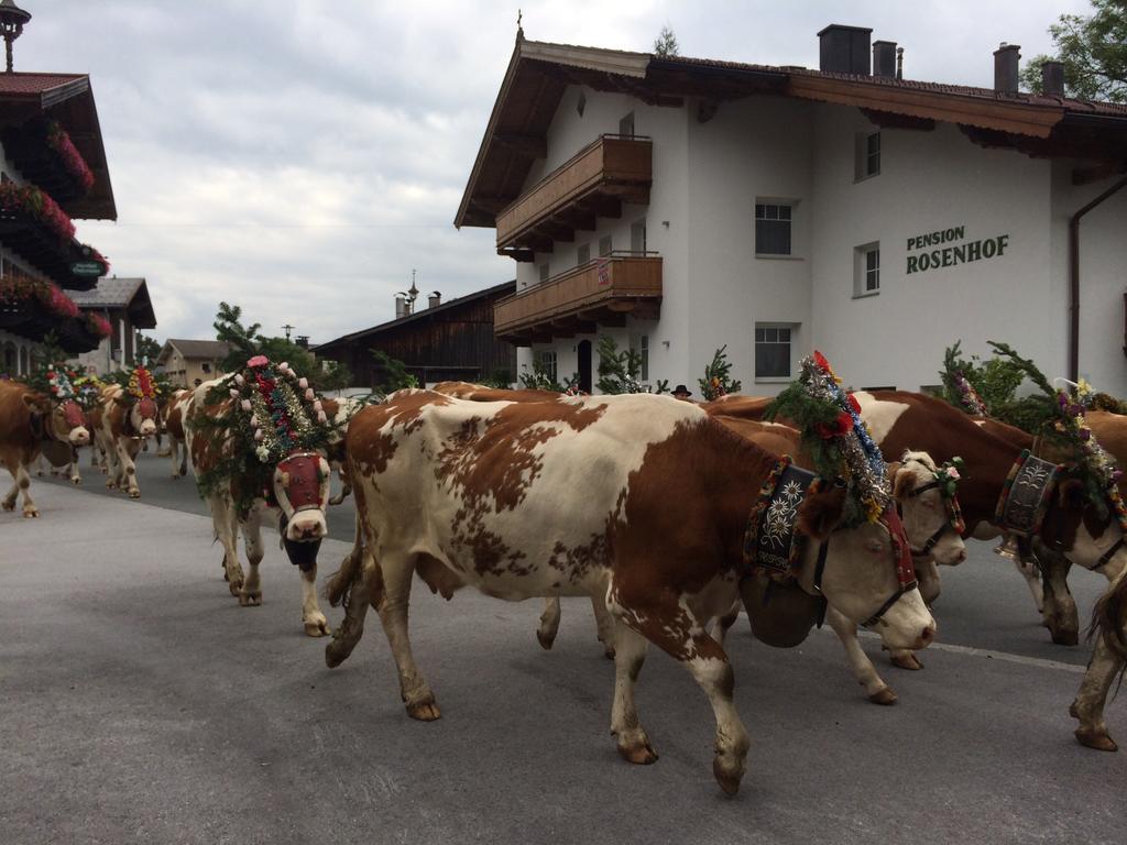 Pension Rosenhof Brixen im Thale Exteriér fotografie